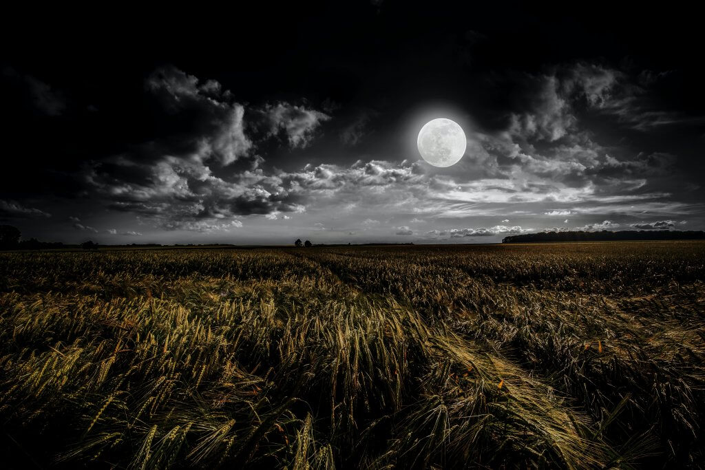 A full moon rising at harvest time