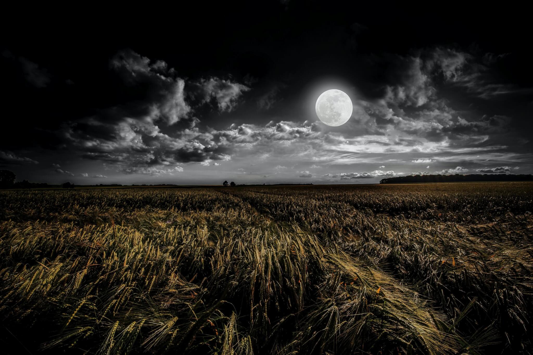 What Is The Harvest Moon : Fall Folklore And Moon Stories