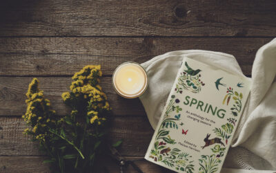 Spring equinox celebrations – 3 simple ways to celebrate the arrival of spring in your home