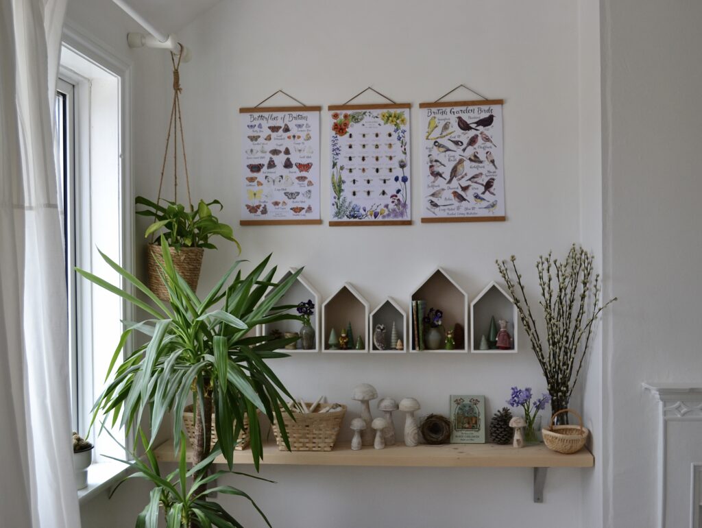 Two busy shelves against a soft white wall. The lower shelf has an array of jars, ornaments and plants aligned on it. The higher shelf consists of house-shaped boxes again with little jars and natural looking ornaments. Above the shelves are 3 posters with colourful bug and plant illustrations. In the foreground is a tall bushy plant. To the left of the image, light from the window leaks in.