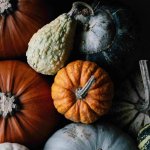 a collection of colourful pumpkins and squash for halloween and samhain celebrations
