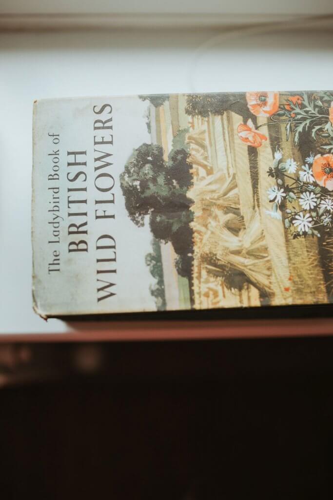 a book of british wildflowers on a windowledge
