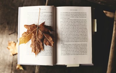 Fall into a Good Book: My Must-Read Cosy Autumn Reads