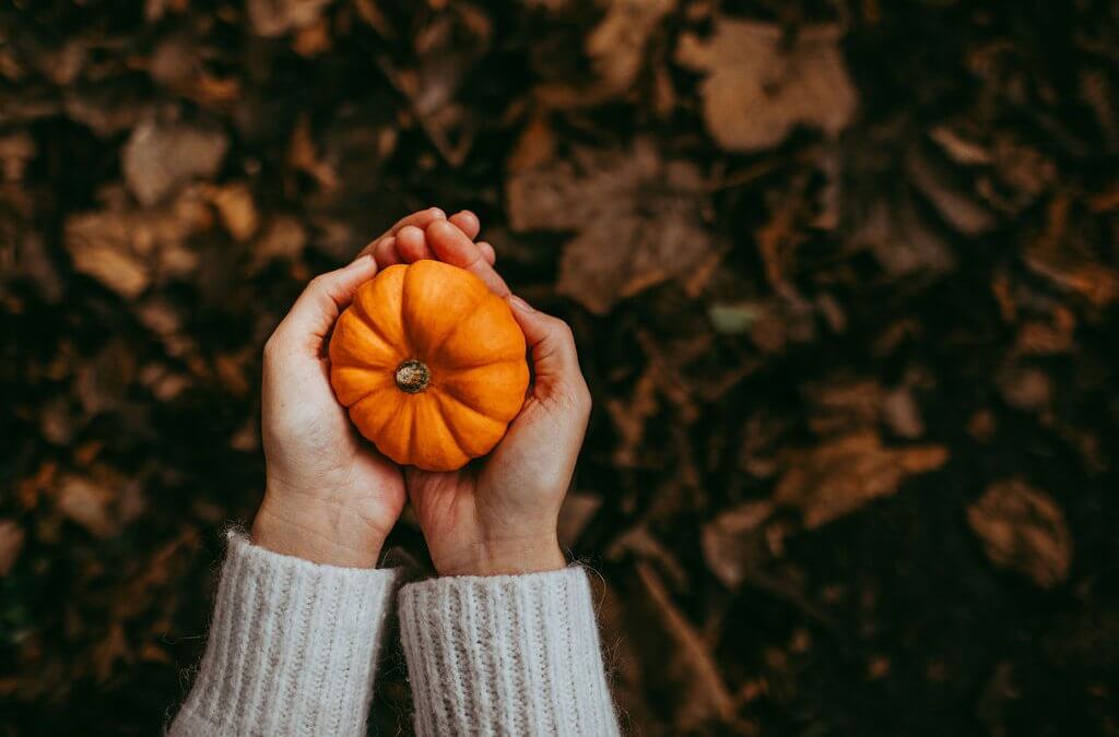 Samhain Traditions – 3 Simple Ways to Celebrate Halloween and Samhain