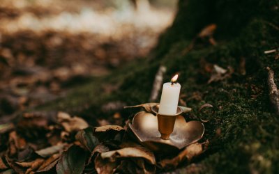 The Wheel of the Year: A Nature-Inspired Guide To Honouring The Seasons